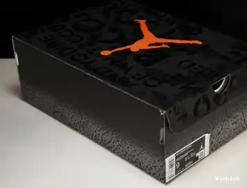 Jordan “Fear” 3 Air CT8532-080 0516